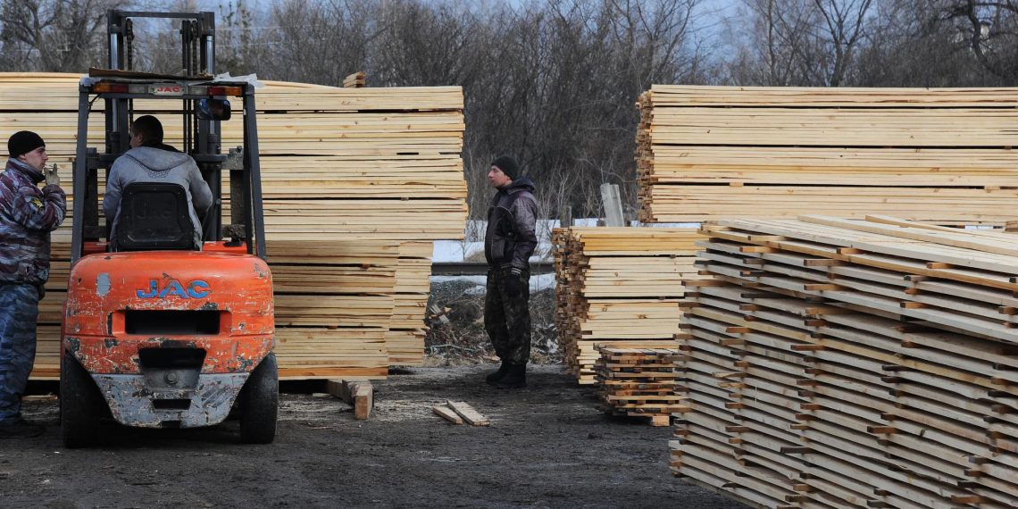 В Ульяновской области выявили незаконный вывоз 3 200 кубометров леса