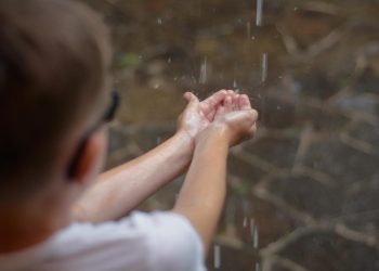 Вербное воскресенье пройдёт в Ульяновске с дождями и ветром