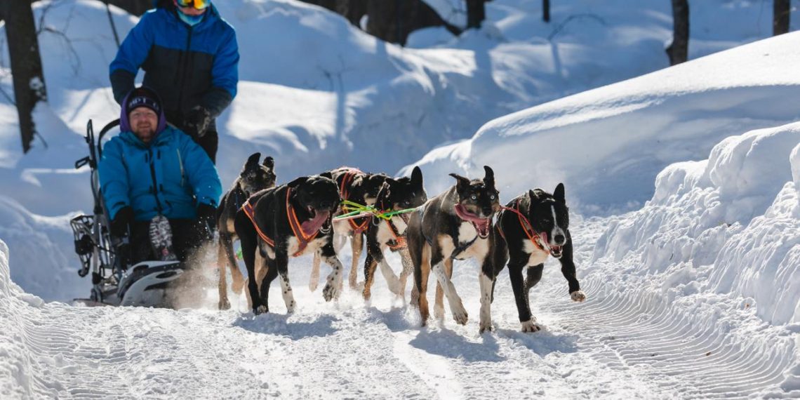 Турпоток в Ульяновскую область зимой вырос на 80%