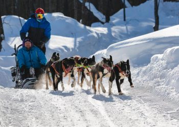 Турпоток в Ульяновскую область зимой вырос на 80%