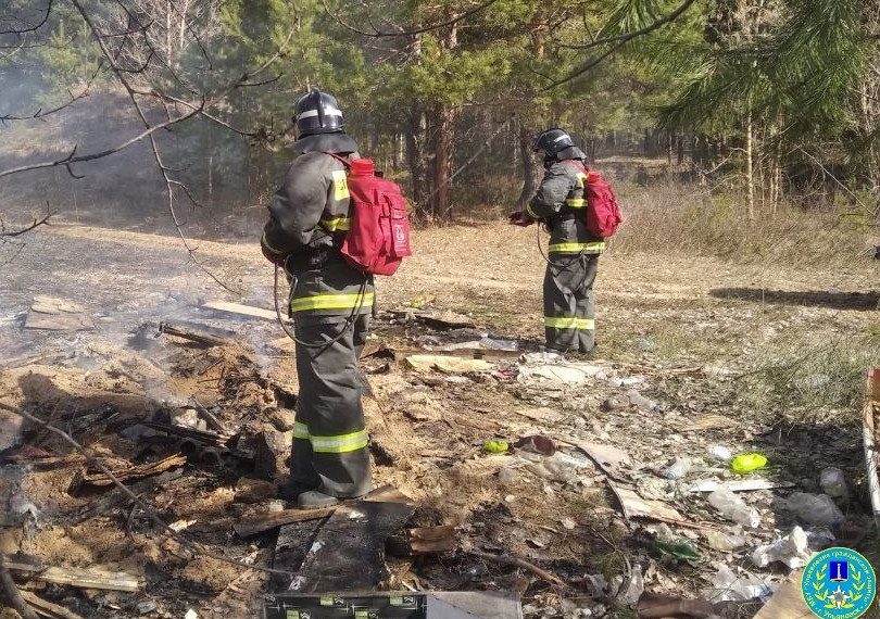 Ульяновские спасатели ликвидировали ландшафтный пожар в районе Майской горы