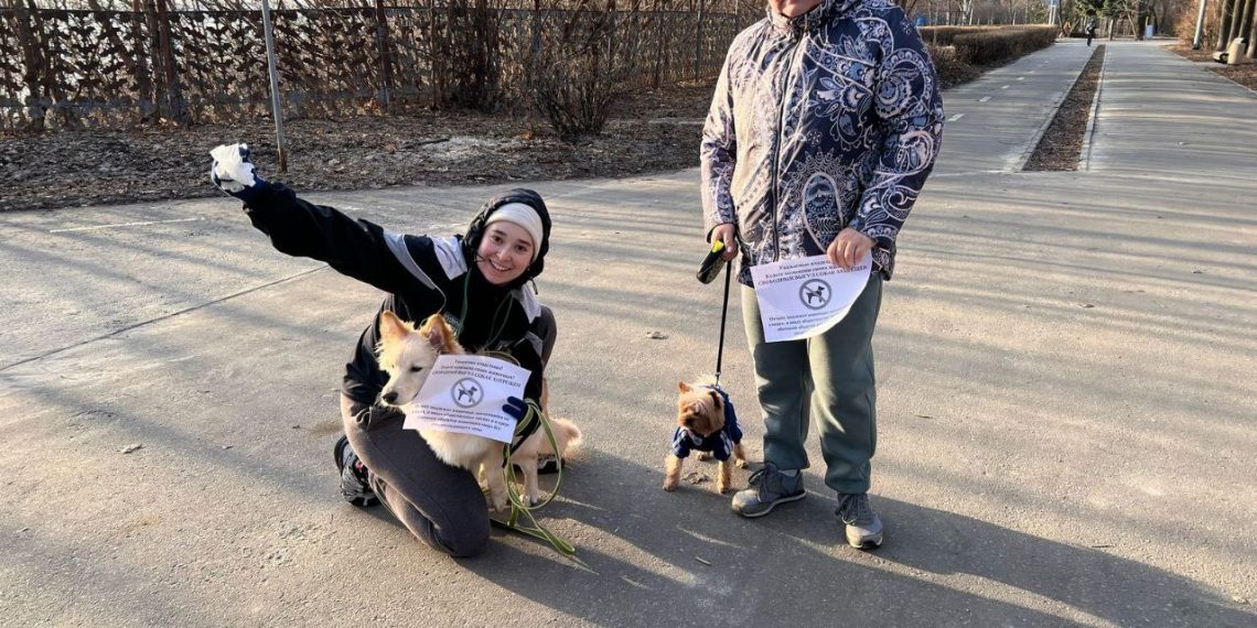 В Ульяновске оштрафовали нескольких владельцев собак