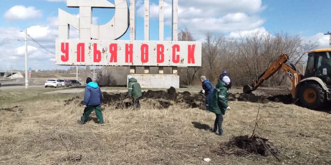 Голубые ели, живые изгороди: в Ульяновске благоустраивают въездные стелы