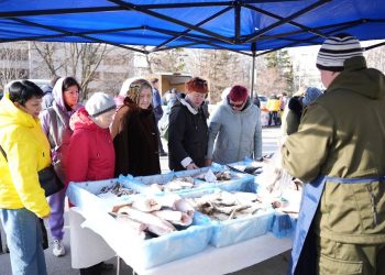 Последняя весенняя ярмарка в Ульяновске собрала 7,5 млн рублей выручки