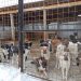 Ульяновский приют оштрафовали за ненадлежащие обращение с животными