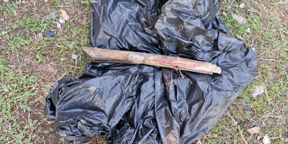 В Ульяновской области задержан подозреваемый в двойном убийстве