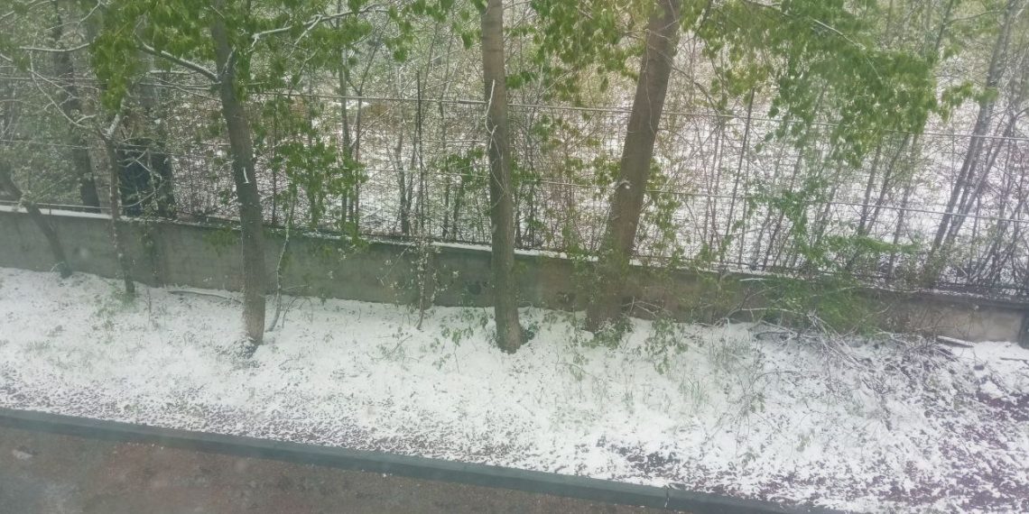 Заморозки до -5° ожидаются в Ульяновской области