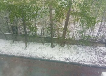 Заморозки до -5° ожидаются в Ульяновской области