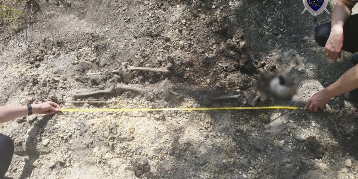 Туристы нашли под Ульяновском останки женщины