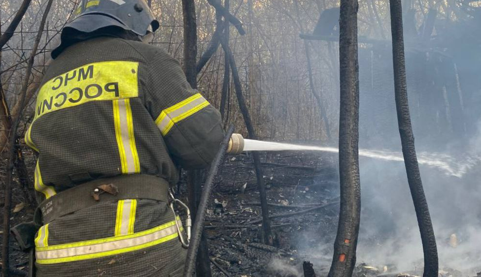 В Сурском районе загорелась конюшня