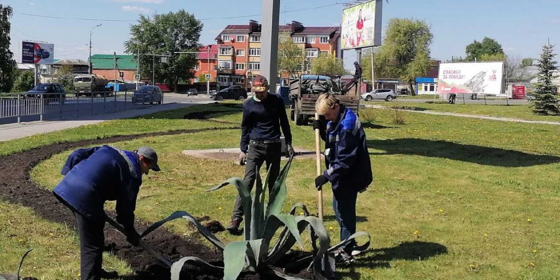 Агавы снова украшают Ульяновск: экзотика на улицах города