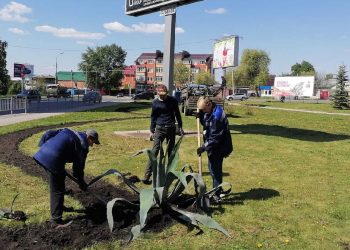 Агавы снова украшают Ульяновск: экзотика на улицах города