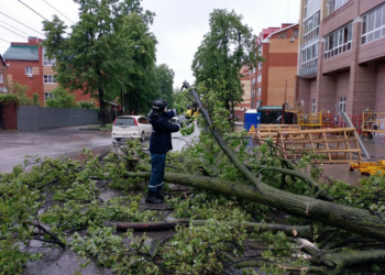Ульяновск борется с последствиями ливня: подтопления и поваленные деревья