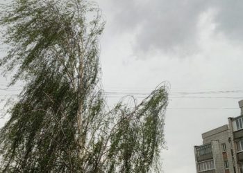 В Ульяновске ожидаются порывы ветра до 17 м/с