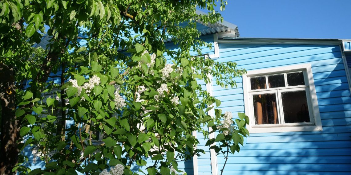 15 млн рублей на инфраструктуру: как поддержат садоводов Ульяновской области