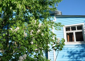 15 млн рублей на инфраструктуру: как поддержат садоводов Ульяновской области