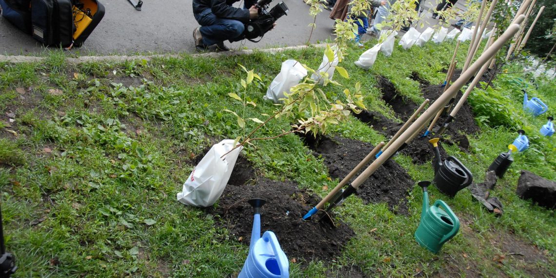 45% жителей Ульяновска высказались против принудительных субботников на работе