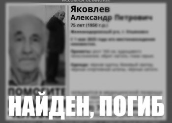 Поисковики «Лиза Алерт» сообщили о гибели пропавшего ульяновского пенсионера