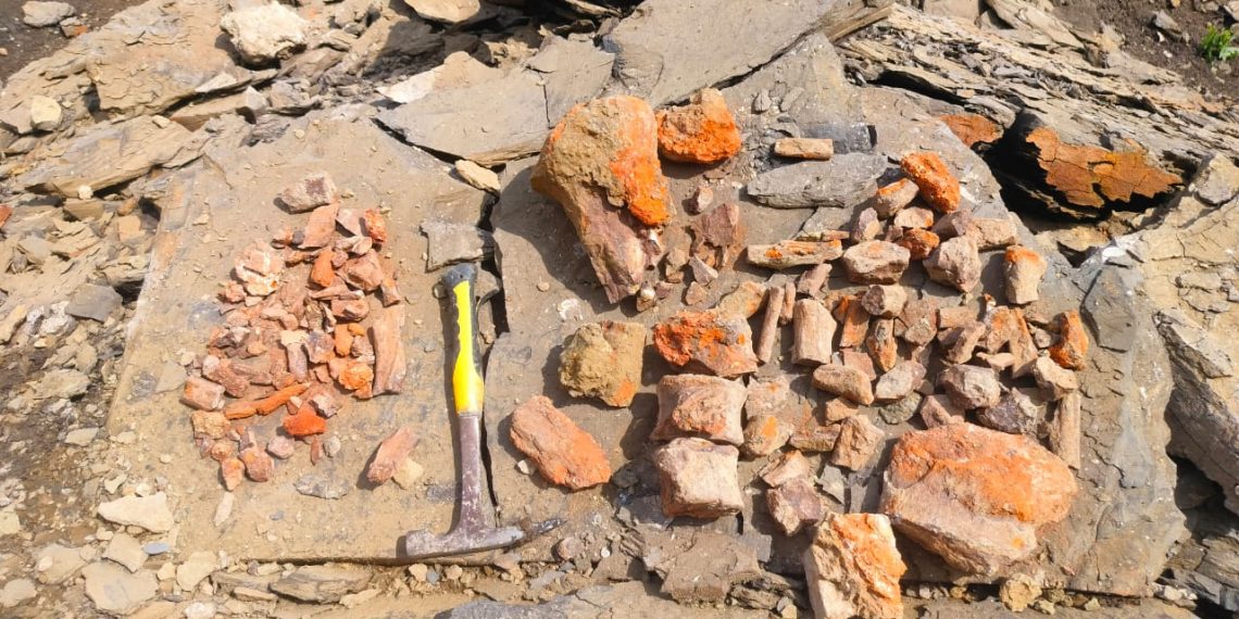 В геопарке Ундория под Ульяновском нашли скелет юрского плезиозавра