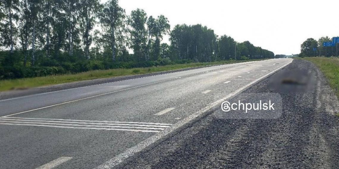 На трассе под Тагаем нашли двух сбитых косуль