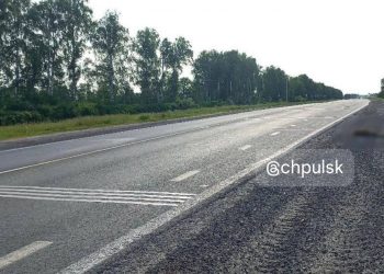 На трассе под Тагаем нашли двух сбитых косуль