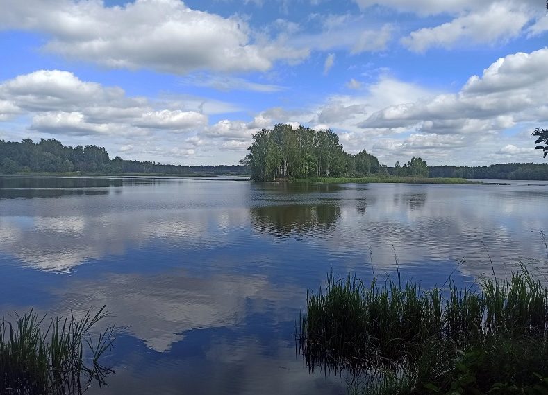 В Ульяновске оштрафовали лодочную станцию — за закрытие доступа к воде