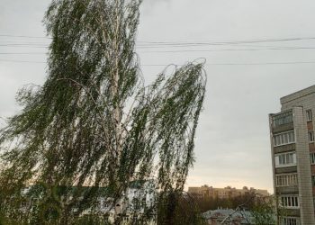 Сильный ветер до 20 м/с ожидается в Ульяновске 5 июня