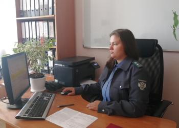 85 нелегальных сайтов по продаже ветпрепаратов выявлено в Ульяновской области