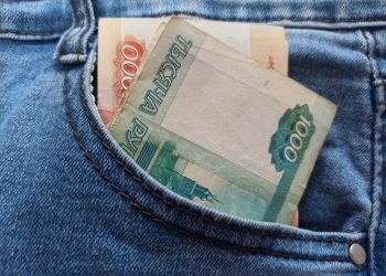 Стал известен размер зарплат ульяновцев — по версии правительства