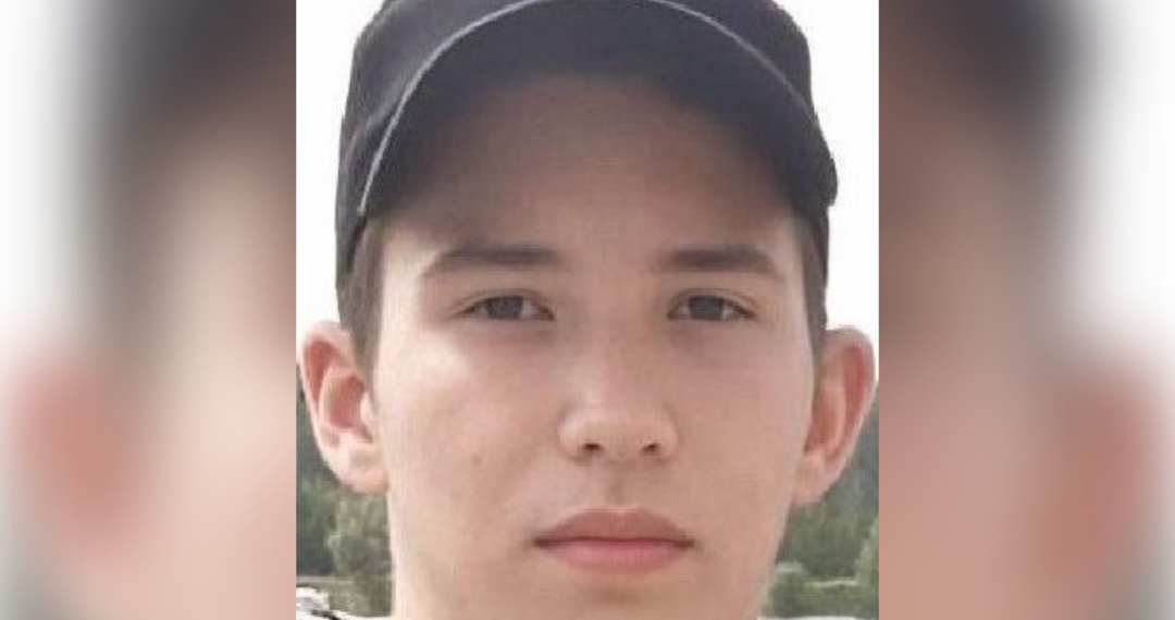 16-летний Анатолий Савинов пропал без вести в Чердаклинском районе