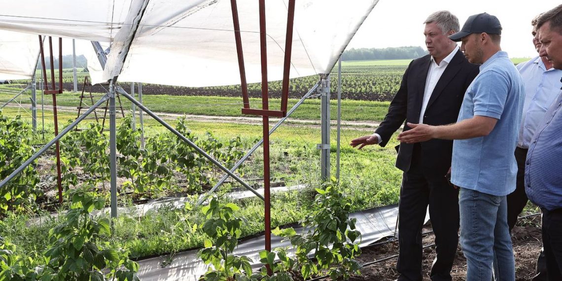 Русских проинспектировал ключевые объекты Майнского района