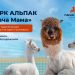 Парк альпак «Пача Мама» скоро откроется в ульяновском парке «Молодёжный»