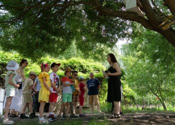 Экопроект ульяновской гимназии №1 получил грант в полмиллиона рублей