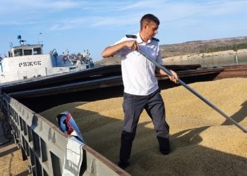 Основными покупателями ульяновского зерна стали Белоруссия, Туркмения и Казахстан