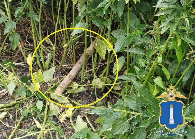 Ревность довела до преступления: в ульяновском селе мужчина жестоко избил земляка