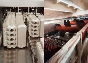 Экореволюция в Ульяновске: «Техма» начала перерабатывать тетрапак