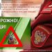 111 укусов клещей за неделю: Роспотребнадзор — о ситуации в Ульяновской области