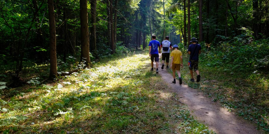 Ульяновцам запретили ходить в лес до 1 августа