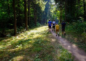 Ульяновцам запретили ходить в лес до 1 августа