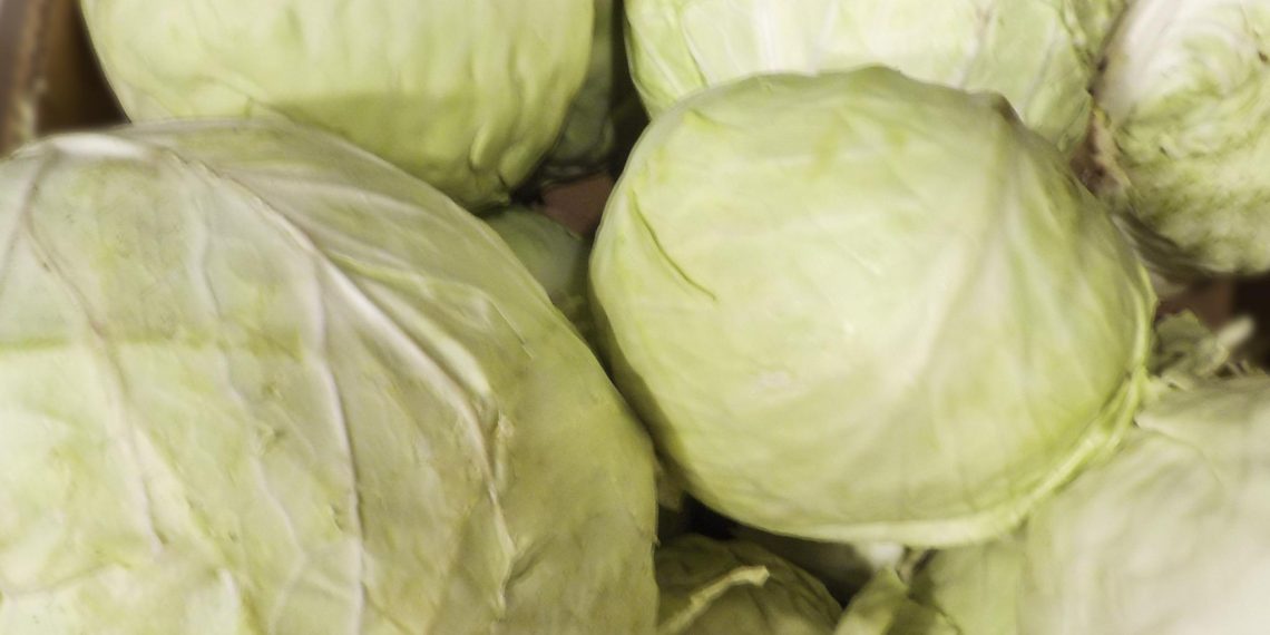 Овощи дешевеют: в Ульяновской области зафиксировано снижение цен