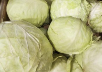 Овощи дешевеют: в Ульяновской области зафиксировано снижение цен