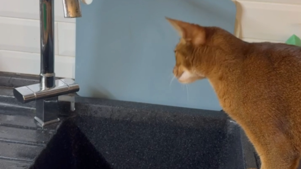 Завтра в Ульяновске понизят давление ХВС: смотрим — где