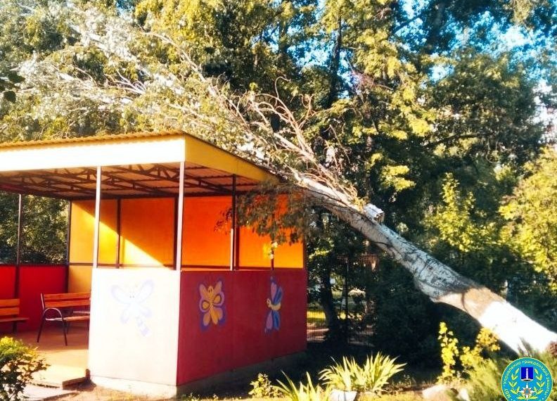 Огромное дерево упало на детский реабилитационный центр в Ульяновске