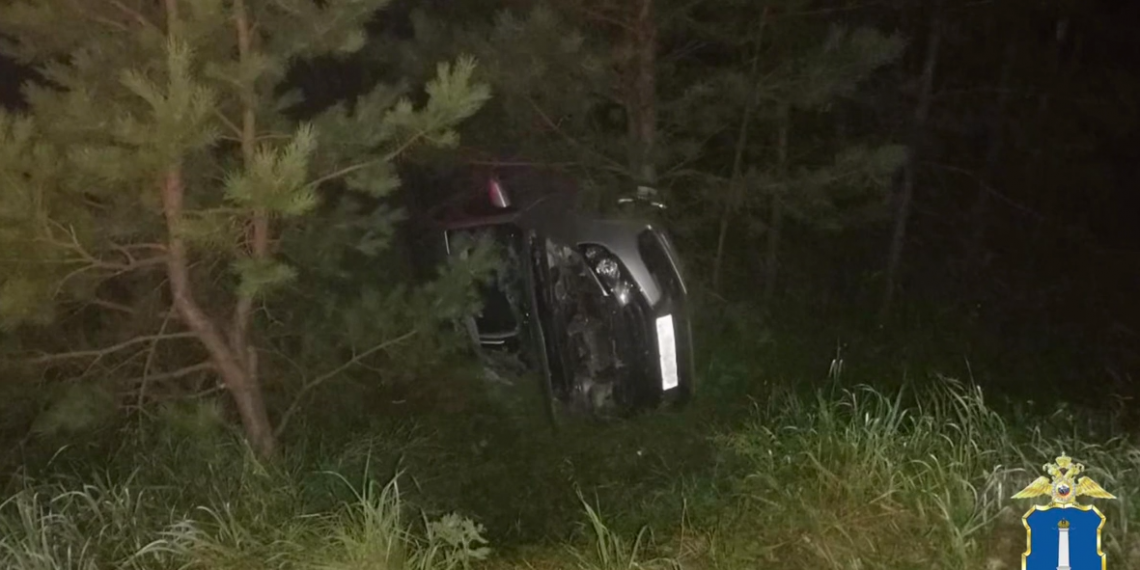 «Гранта» вылетела с трассы в Старомайнском районе, водитель погиб на месте