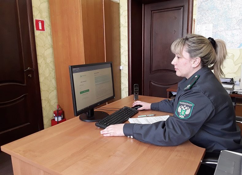 За полгода в Ульяновской области зафиксировано 91 нарушение карантинных правил