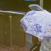 Ульяновскую область накроет сильный ливень с градом 23 июля