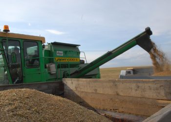 Названы лидеры первой недели уборочной кампании в Ульяновской области