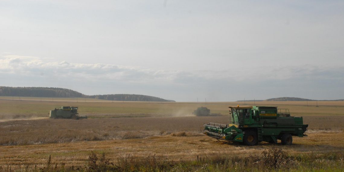 Комбайн загорелся во время работы на поле в Старомайнском районе