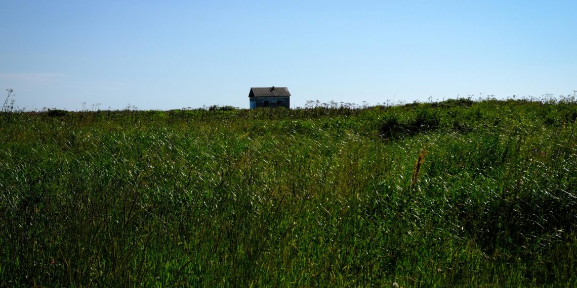 Россельхознадзор выявил зарастание 384 га сельхозземель в Ульяновской области