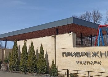 «Рояль в кустах»: в ульяновском парке «Прибрежный» пройдет фестиваль творчества